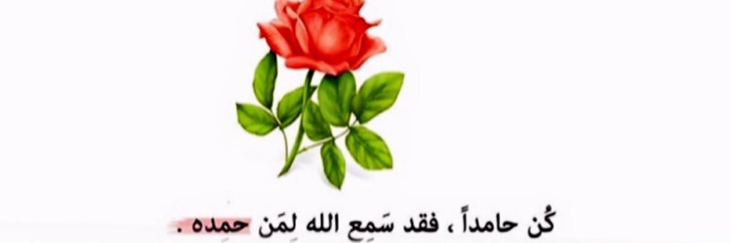 sara_8544's profile banner image