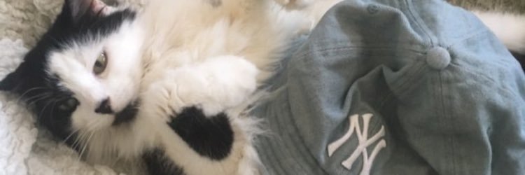snowrollerpdx's profile banner image