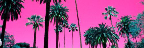 beachpleasemx's profile banner image