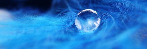 AL_Saeed8's profile banner image