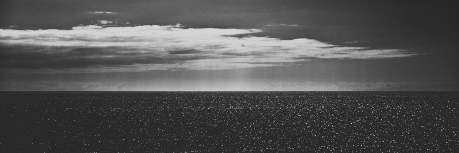 roenholt's profile banner image