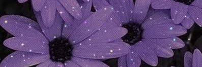 _tedzter_'s profile banner image