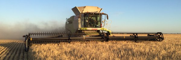 pinerygrain Profile Banner