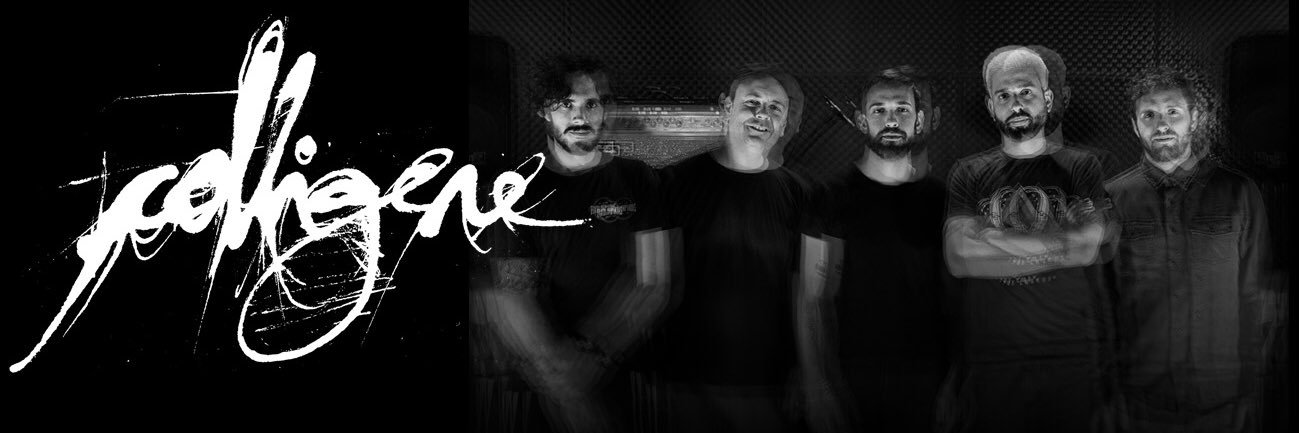 colligerehc's profile banner image