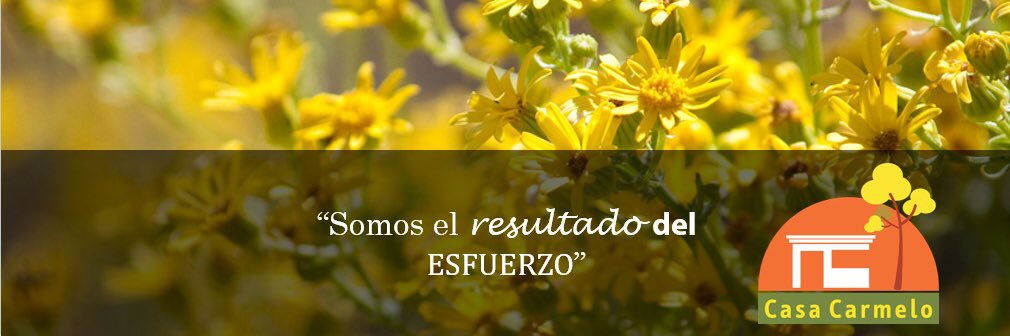 MSConsOficial's profile banner image