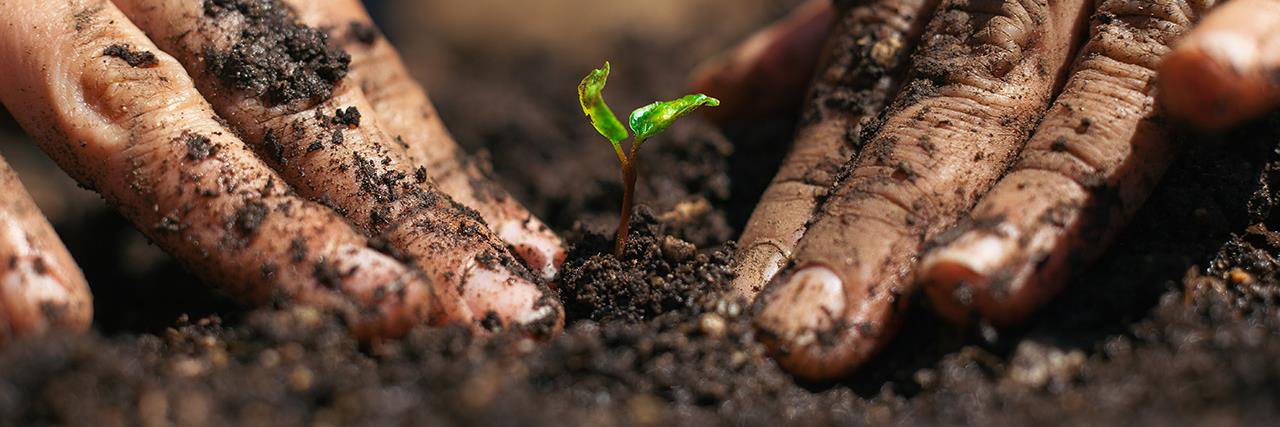 SoilServicesInt's profile banner image