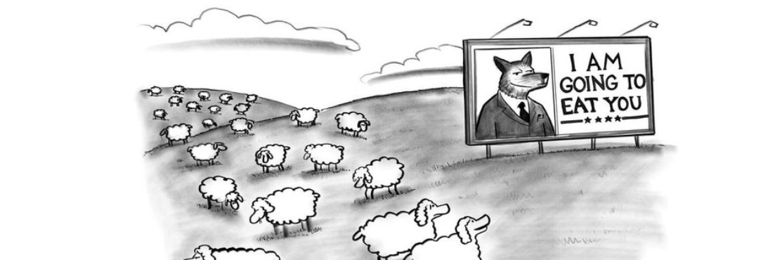 Paul Noth's banner