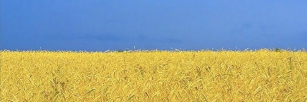 Martin Holland banner