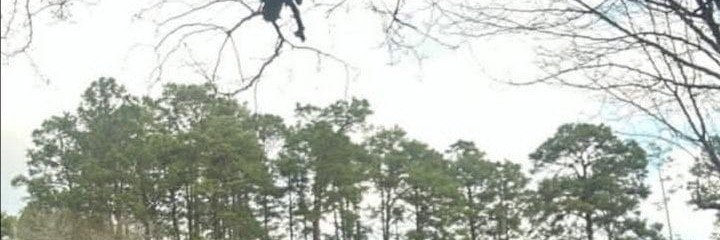 ezgicenc's profile banner image