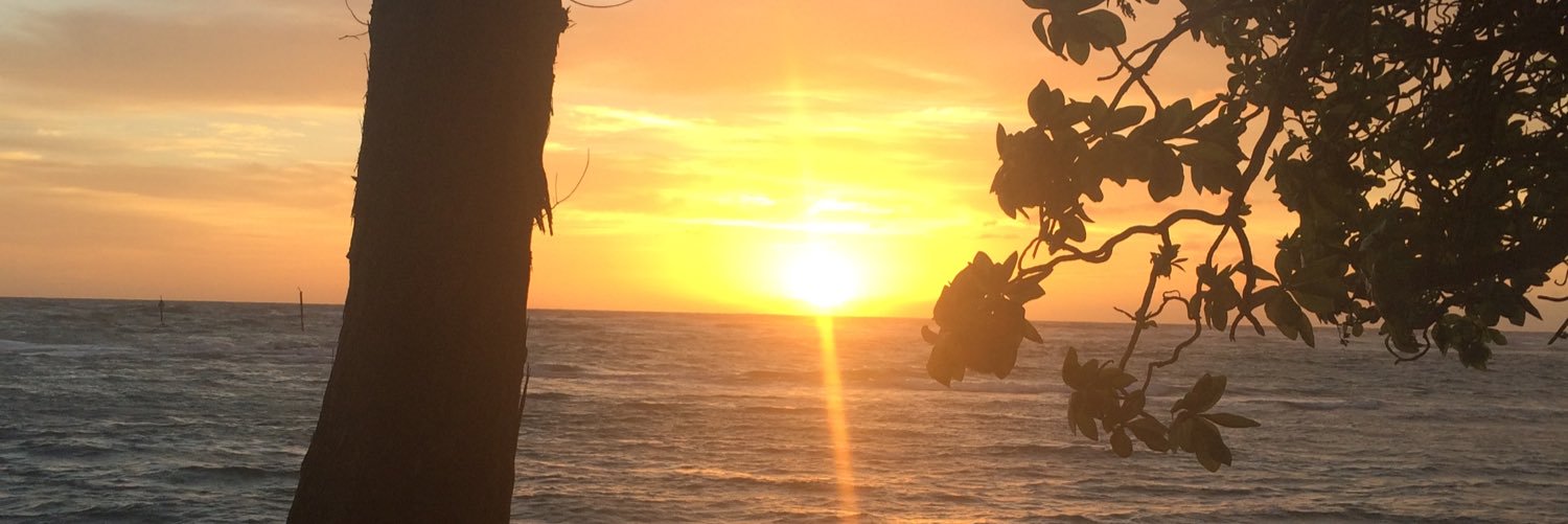 zachriggs01's profile banner image