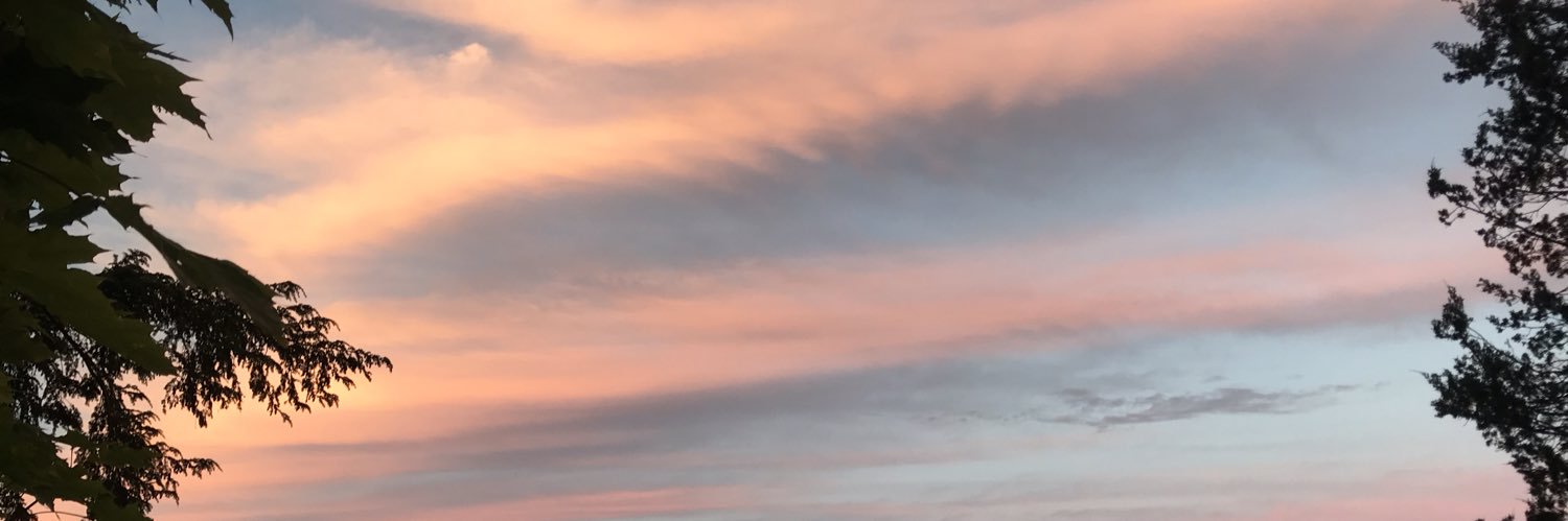 E banner