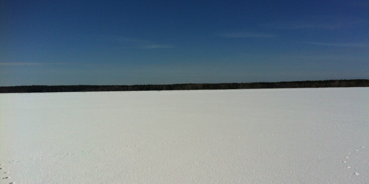 Roger Ohlsson banner