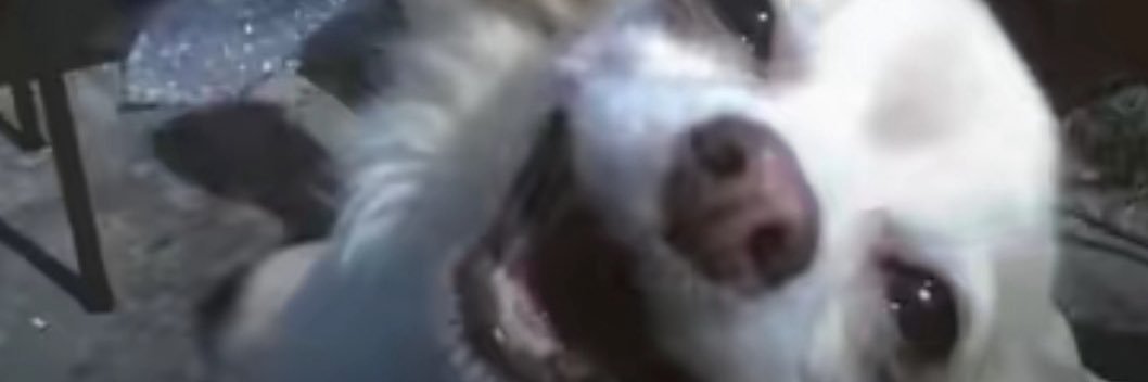 aassiiaaD's profile banner image
