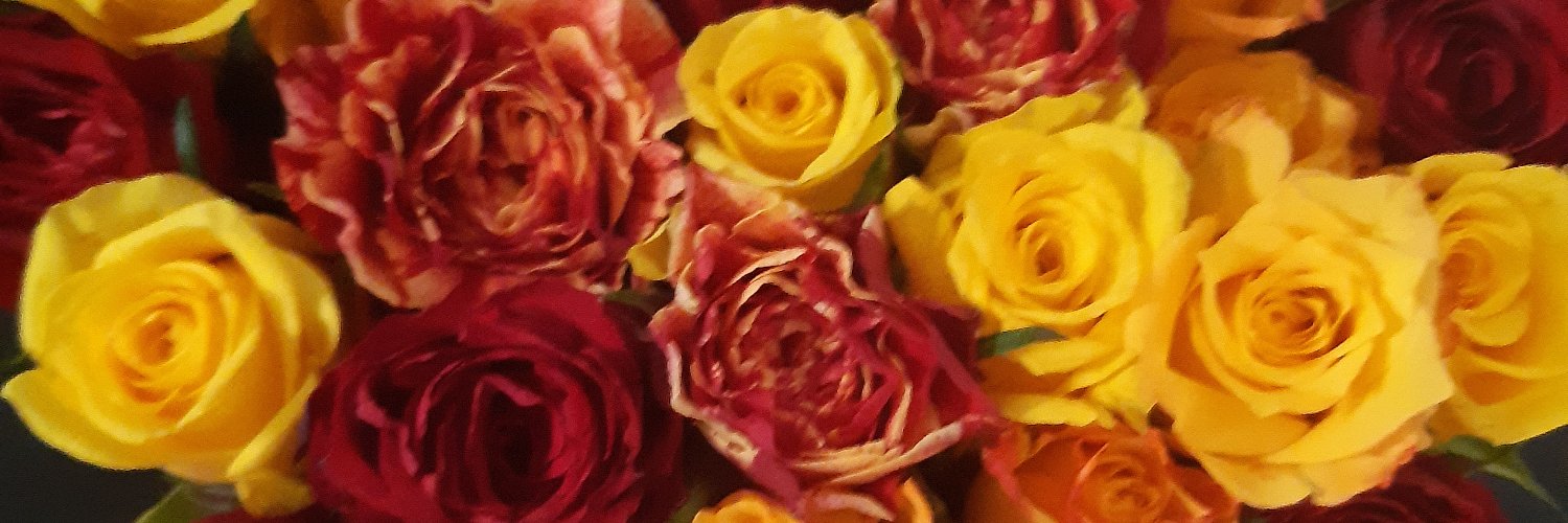 louiseJAT's profile banner image