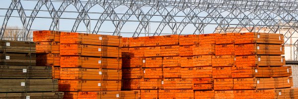 SR_Timber_ Profile Banner