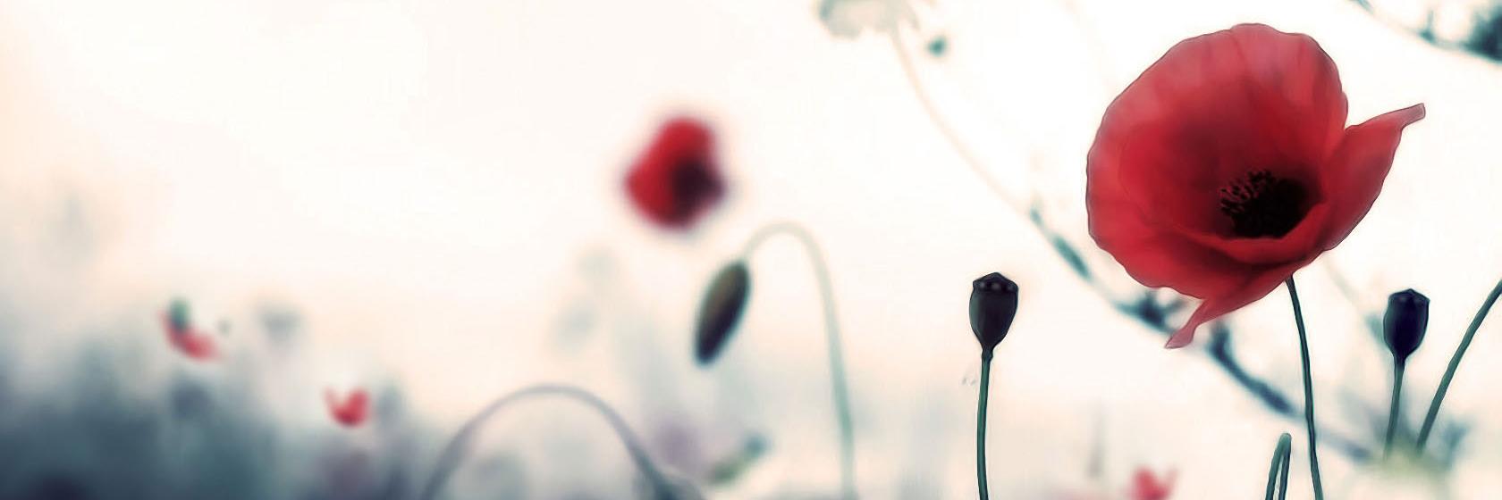 PutriSeptianiL's profile banner image