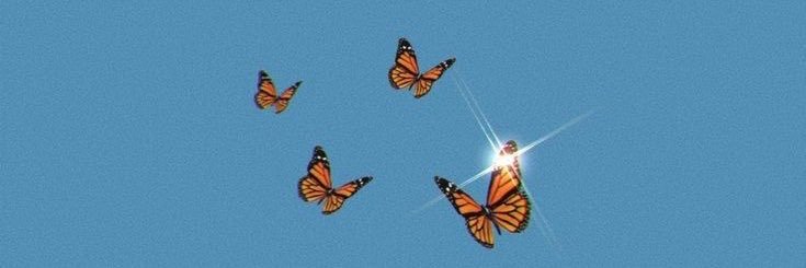 Dee banner