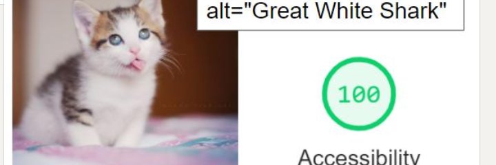 grantbroome's profile banner image