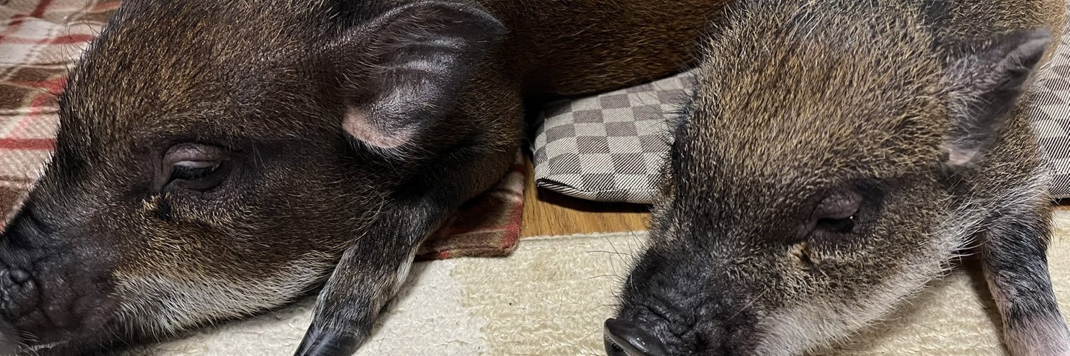 strada@尻鯖FF11 banner