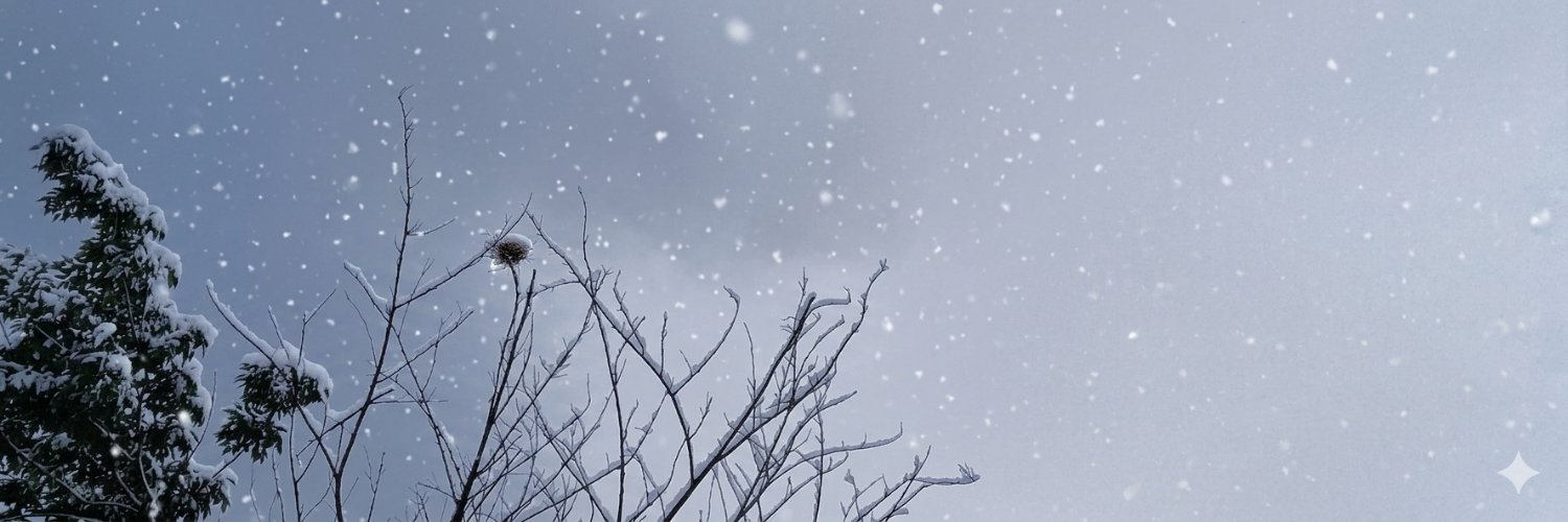snwydw's profile banner image