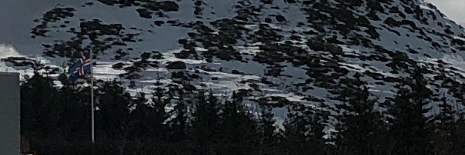 eyglobara's profile banner image