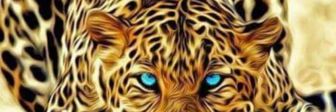 chavyola's profile banner image