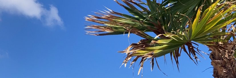 amymccutcheon_'s profile banner image
