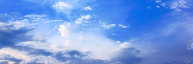 タルタルそーす banner