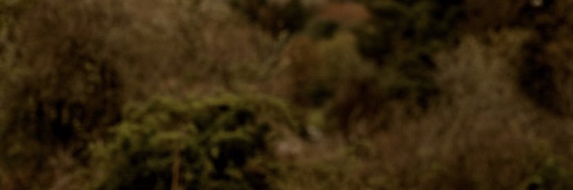 Sunny_Danielle's profile banner image