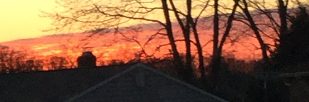 simplergabe's profile banner image