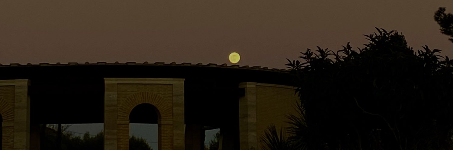 zaylaugh's profile banner image