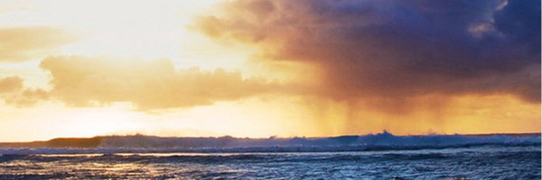 bbcamryn1234's profile banner image
