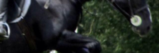 OhNo_Chicken's profile banner image