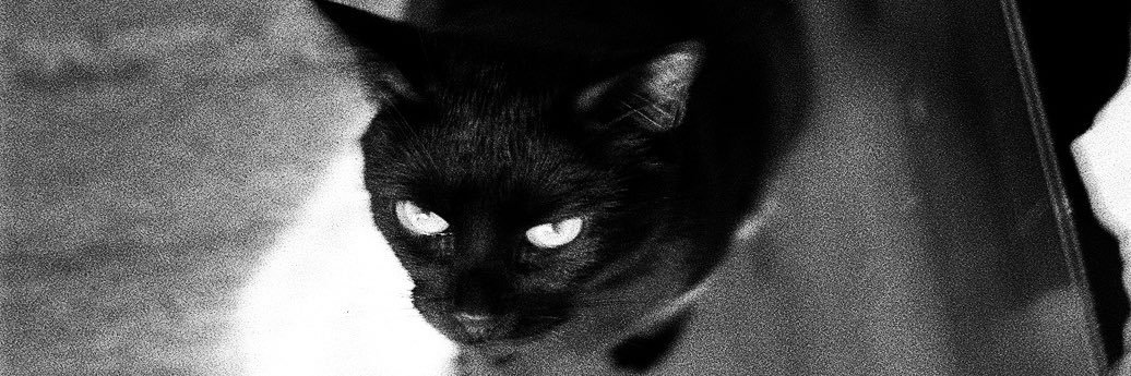 _cmholmes's profile banner image