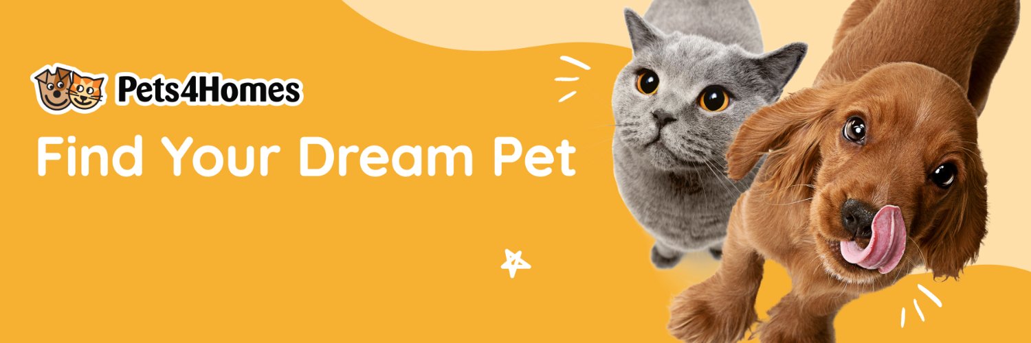 pets4homes's profile banner image