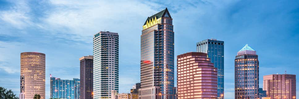 Tampa Bay Fabric User Group (TFAB) banner
