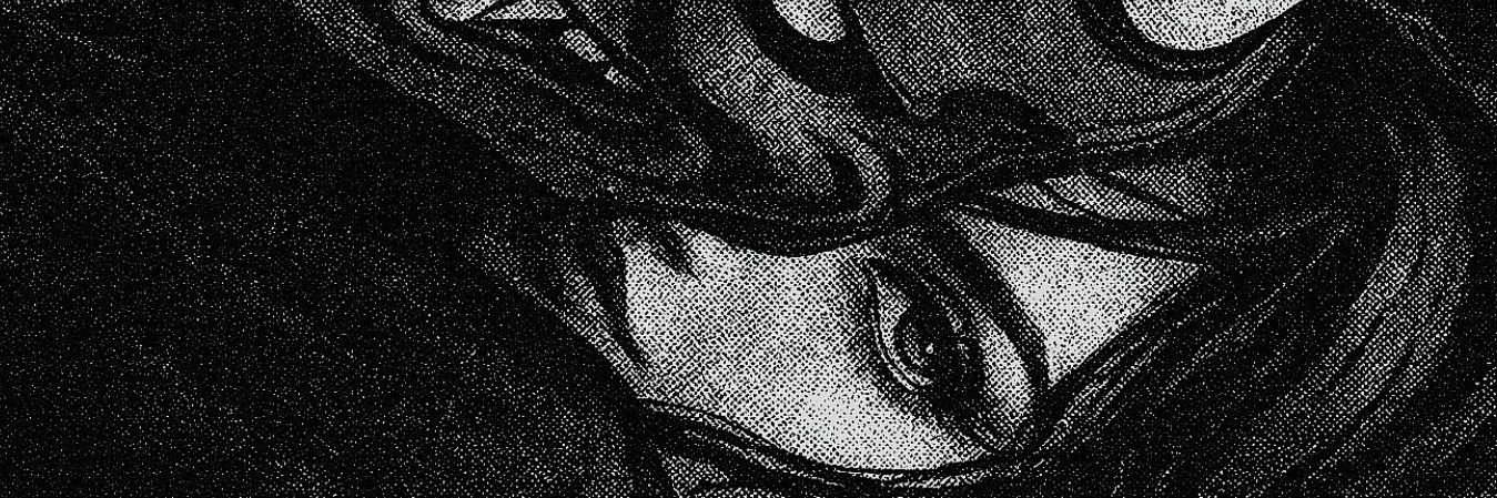 ferroufe's profile banner image