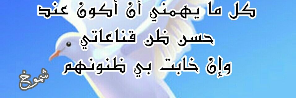 SH_Al_Abdullah's profile banner image