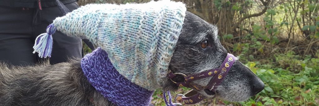 Freydis 2023 🐶 Sprocket 2012-2023 ❤️ 🌈 banner