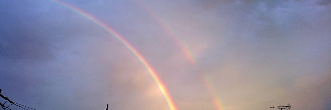 あらいサン🐻‍❄️ banner