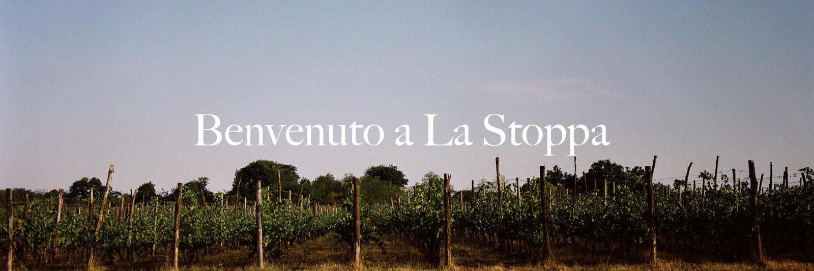 La Stoppa banner