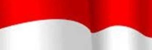 pulusabes's profile banner image