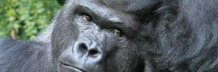 AugustinDavid6's profile banner image