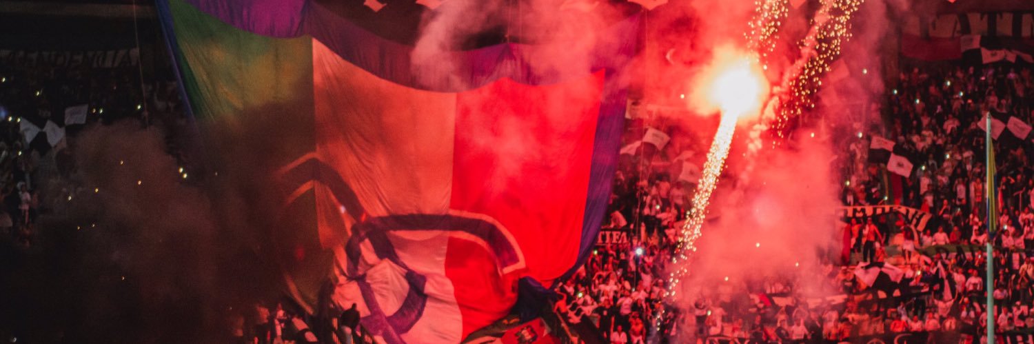 PINEDA banner