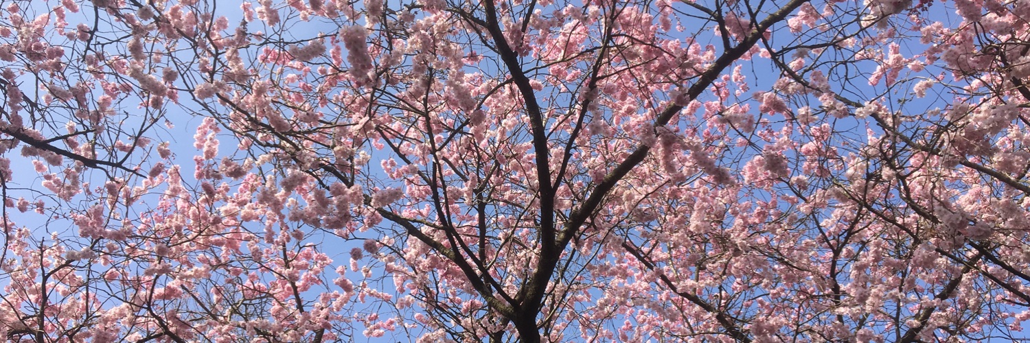 Marijn Bon-Mensinga banner