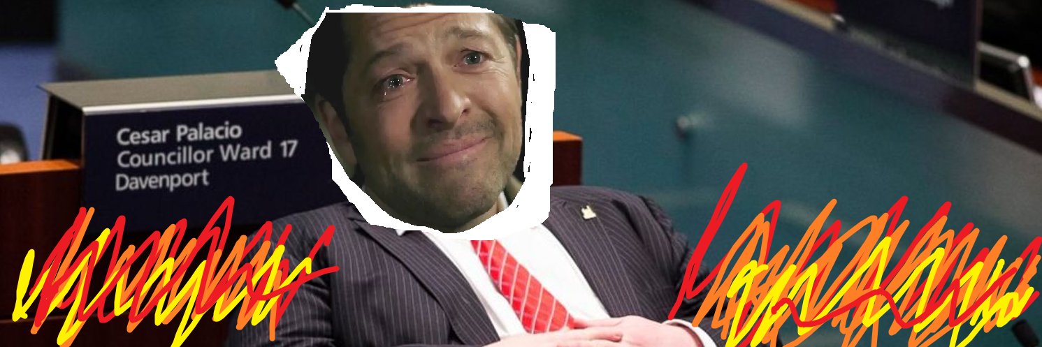snortcat's profile banner image