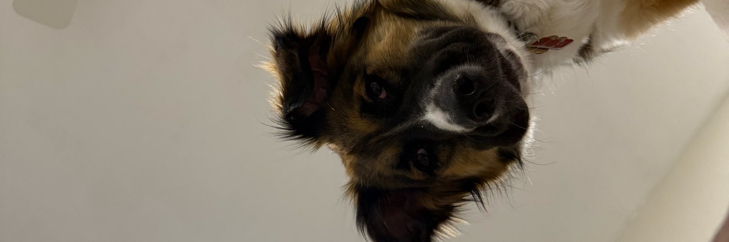 rwenner_'s profile banner image