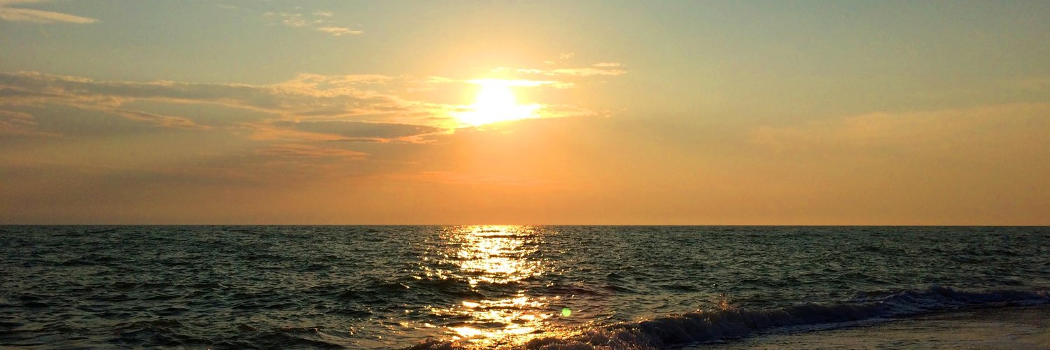temelerdal's profile banner image