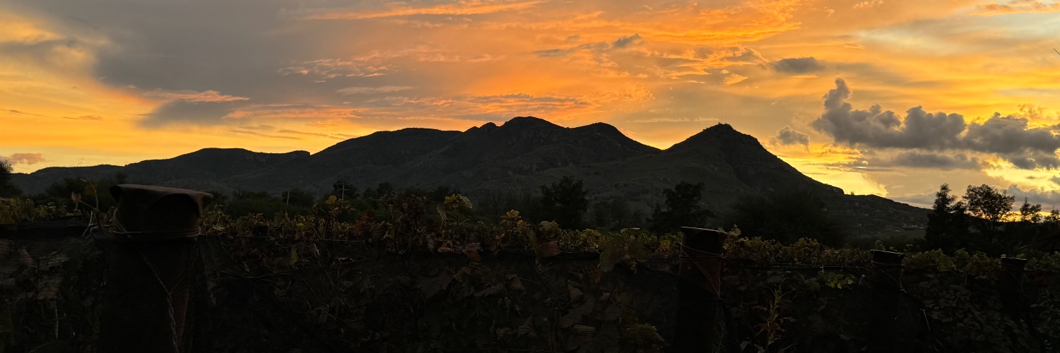 Jonas von Hoffmann banner