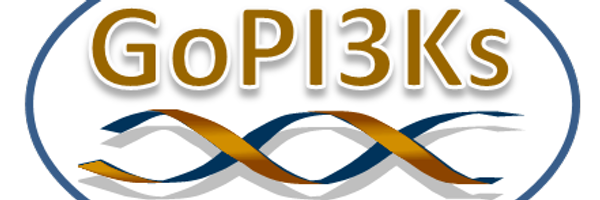 GoPI3Ks Profile Banner